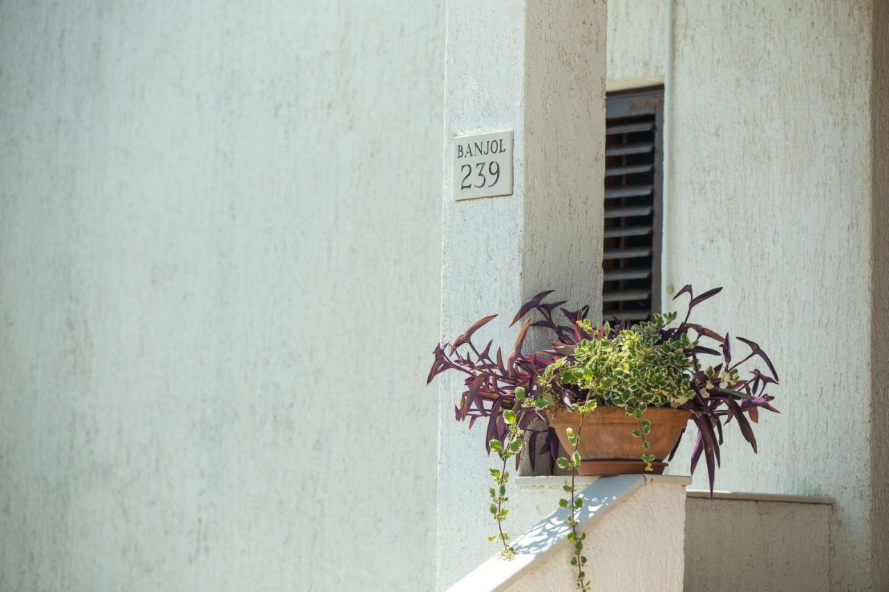 Apartments Renata Banjol Extérieur photo